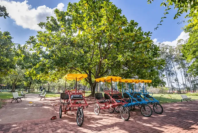 Bike_Club_Ecopista_Minigolfe_1_2x_e6e399e889